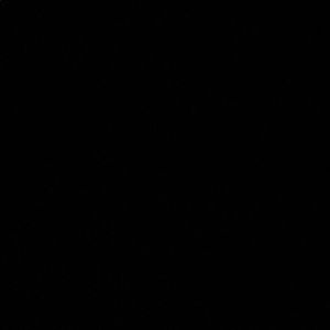 Meet your Posher, Medisa